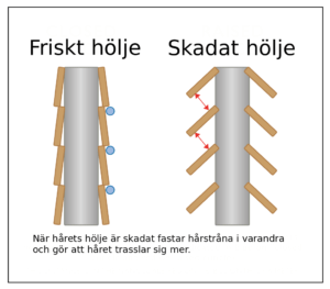 Friskt och skadat hår