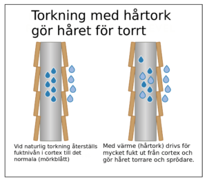 Torkning med hårtork gör håret för torrt